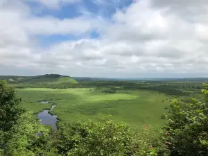 Kottaro Swamp Observatory