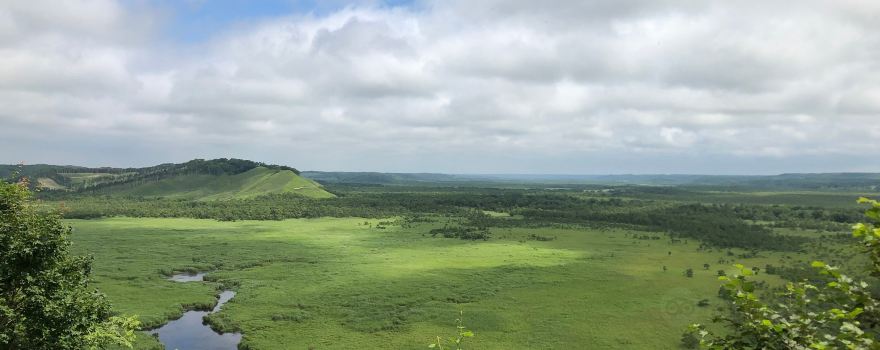 Kottaro Swamp Observatory