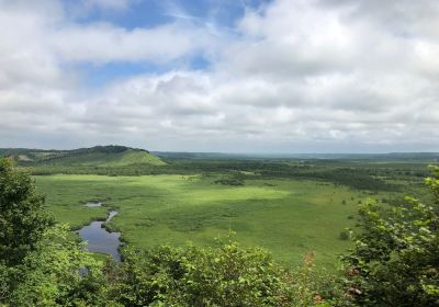 Kottaro Swamp Observatory