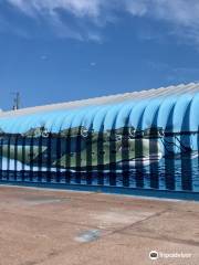 Botwood Flying Boat Museum