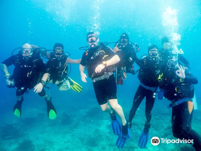 Diving in Philippines