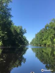 Parc d'État de Dismal Swamp