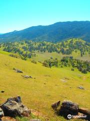 Round Valley Regional Preserve