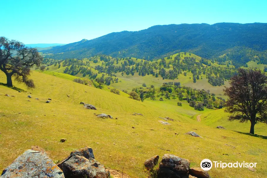 Round Valley Regional Preserve