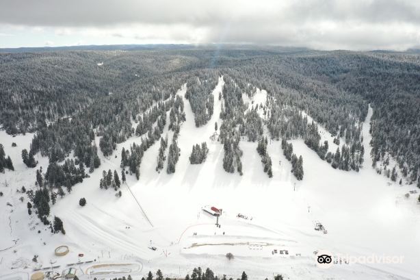 Ski Cloudcroft Tickets [2026] - Promos, Prices, Reviews & Opening ...