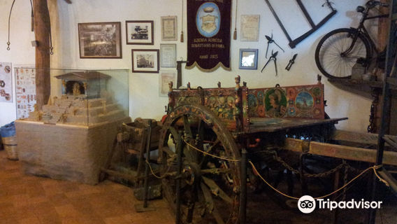 Casa Museo dell'Apicoltore e Vendita di Miele