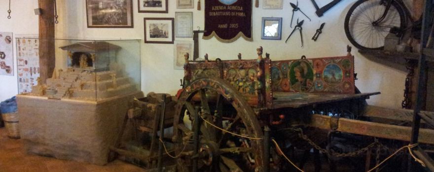 Casa Museo dell'Apicoltore e Vendita di Miele