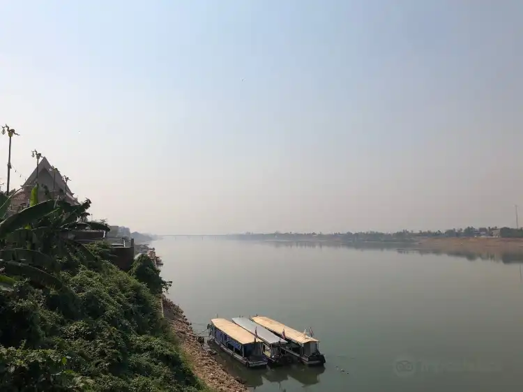 Mi Chai