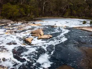 Circular Pool