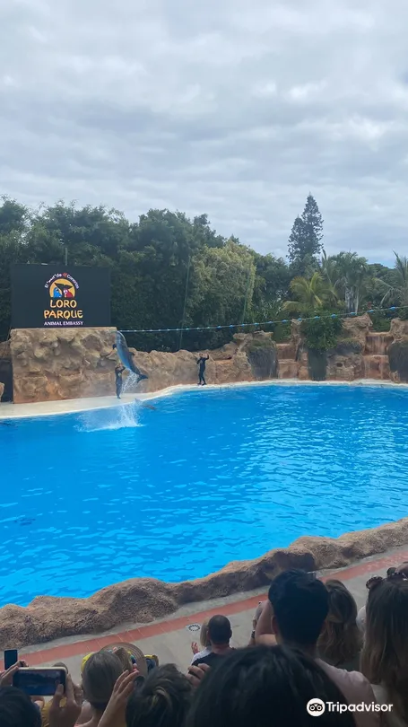 5_Loro Parque