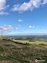 Abbotsbury Castle