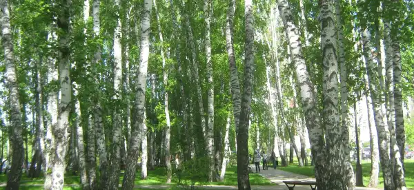 Gorod Tyumen'