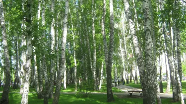 Gorod Tyumen'