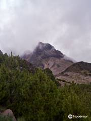 Nationalpark Nevado de Colima