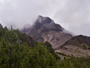 ネバド・デ・コリマ国立公園