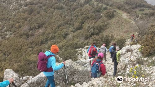 Riserva Naturale Orientata Fiumedinisi e Monte Scuderi