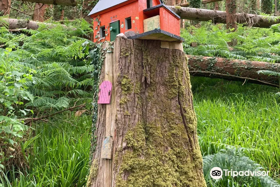 Glenbeigh Fairy Forest