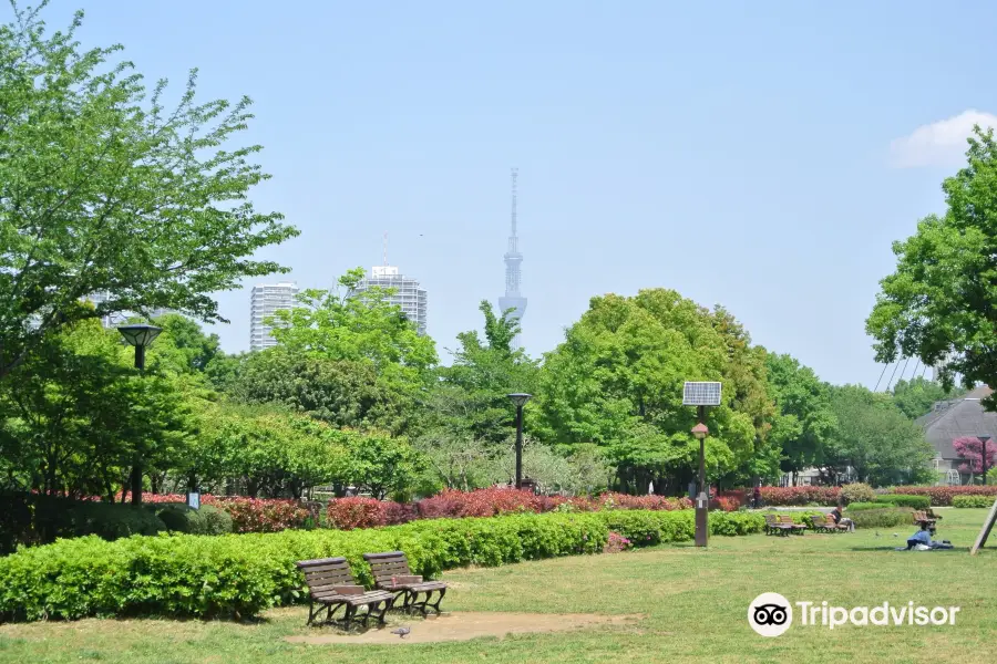 木場公園