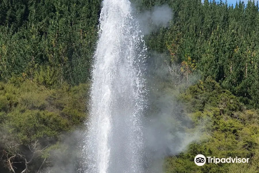 Lady Knox Geyser