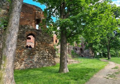 Ruins of Ducal Castle in Zabkowice Slaskie
