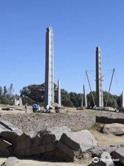 Northern Stelae Field