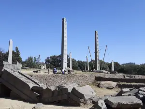 Northern Stelae Field