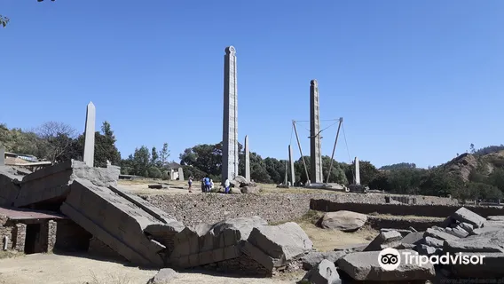 Northern Stelae Field