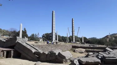 Northern Stelae Field