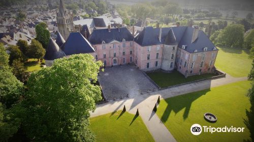 Chateau de Meung sur Loire