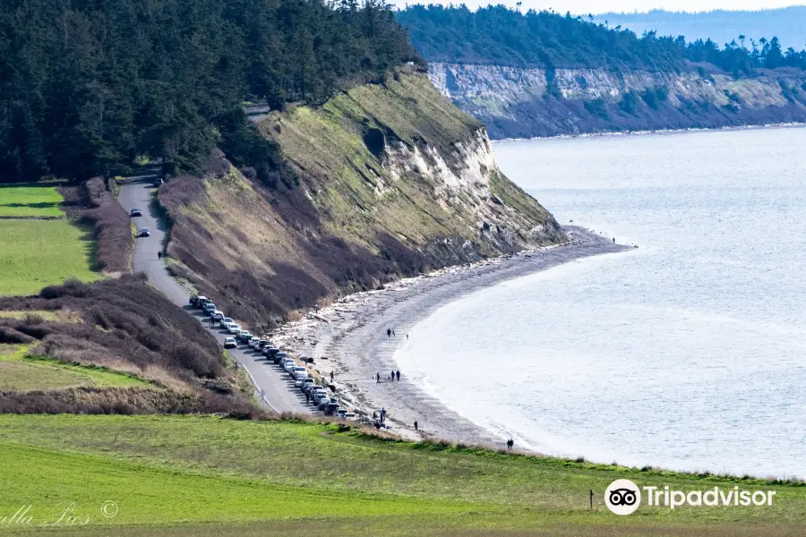 Ebey's Landing