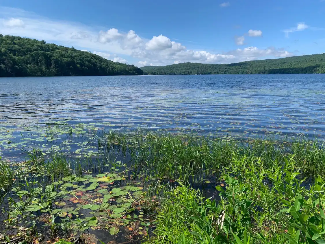 Hotels near Sterling Forest State Park