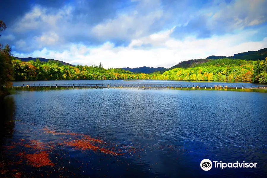 Loch Faskally