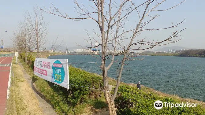 2_Guri Hangang Park