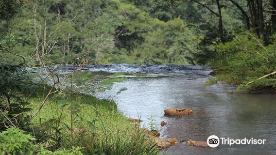 Provincial Salto Encantado, Misiones Park