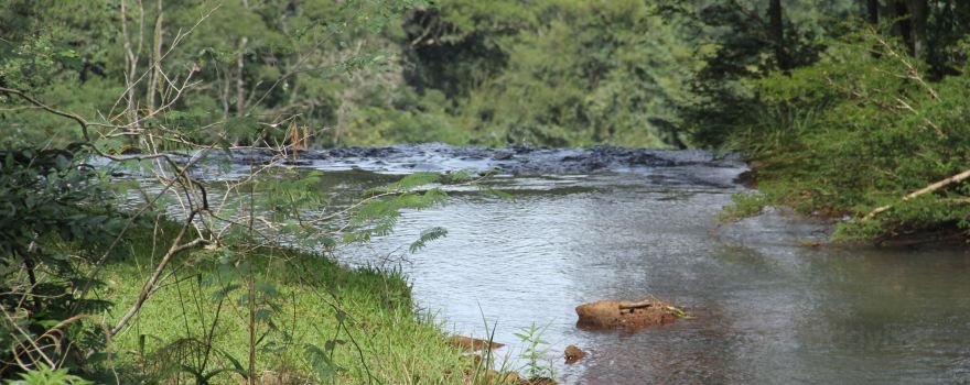 Provincial Salto Encantado, Misiones Park