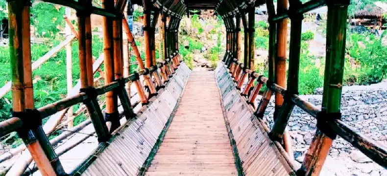 Hotels in Bogor City