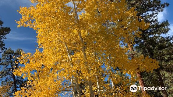 Pagosa Springs RV Park