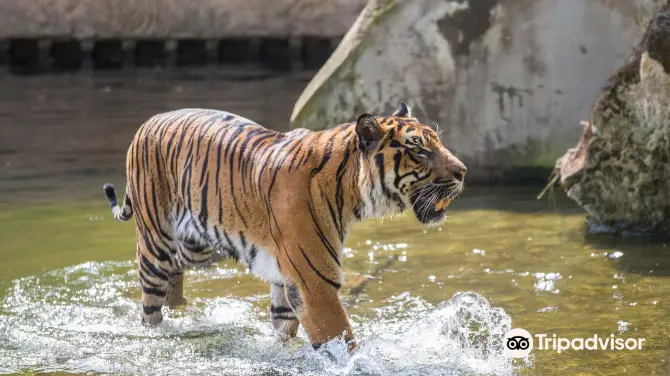 5_Prague Zoo
