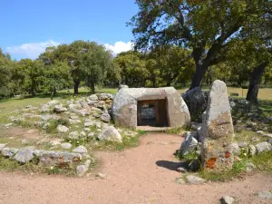Necropolis of Pranu Muttedu