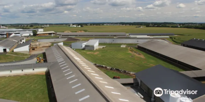 Kreider's Dairy Farm