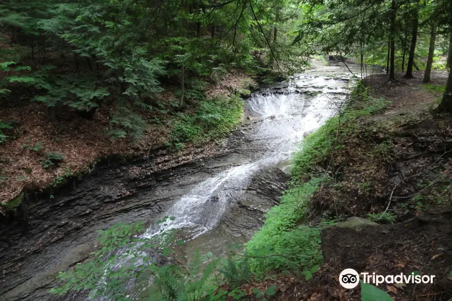 Bedford Reservation