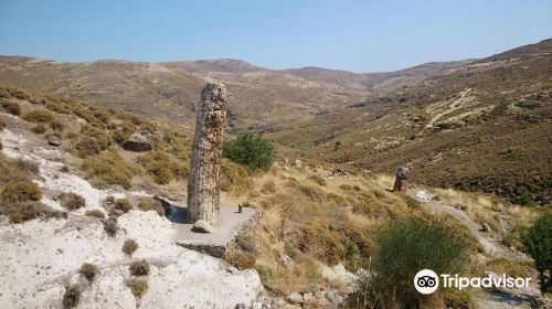 Petrified Forest of Lesbos