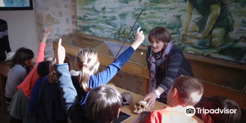 Musee de l'Homme de neandertal