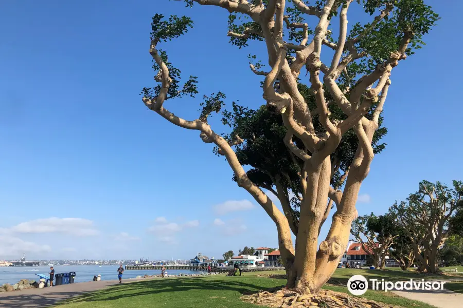 Embarcadero Marina Park North