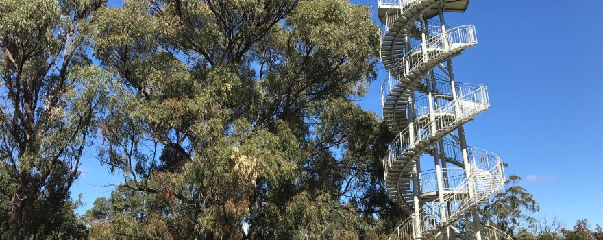 DNA Tower