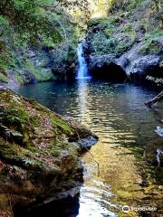 Tapin Tops National Park