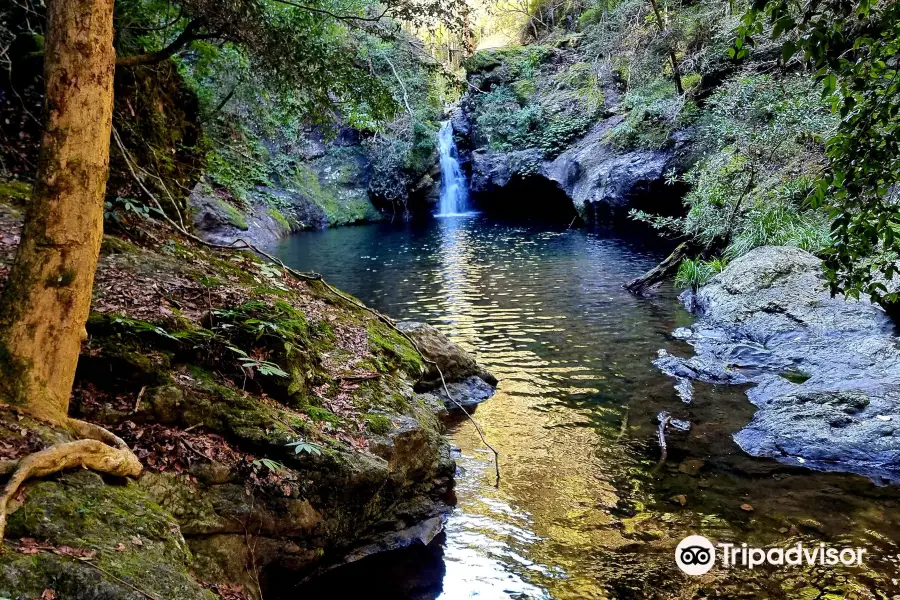 Tapin Tops National Park