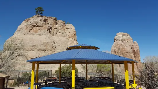 Navajo Nation Zoo (Diné Bikéyah binaaldeehii dóó chʼil danílʼínídi)