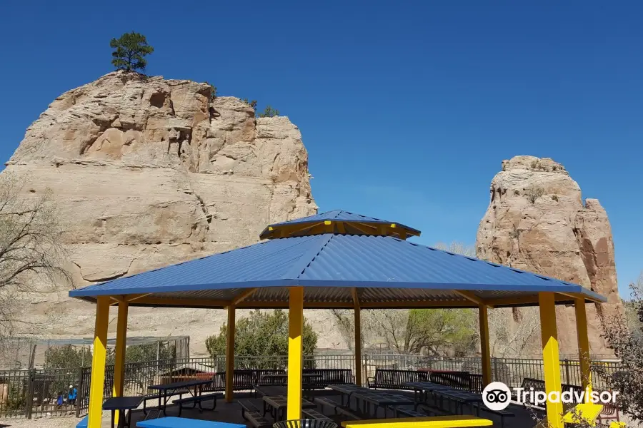 Navajo Nation Zoo (Diné Bikéyah binaaldeehii dóó chʼil danílʼínídi)