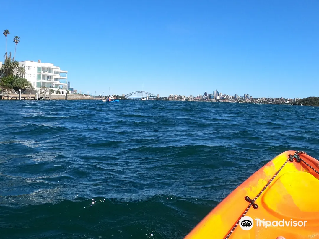 1_Point Piper Kayak & Sup Centre / Rose Bay Park
